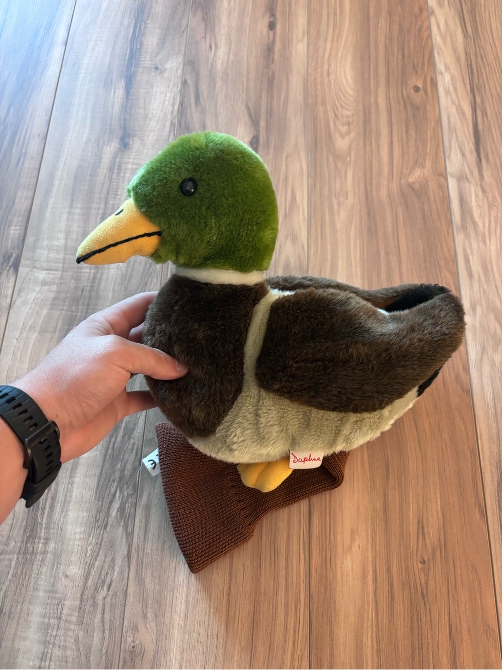 Daphne Mallard Duck Headcover